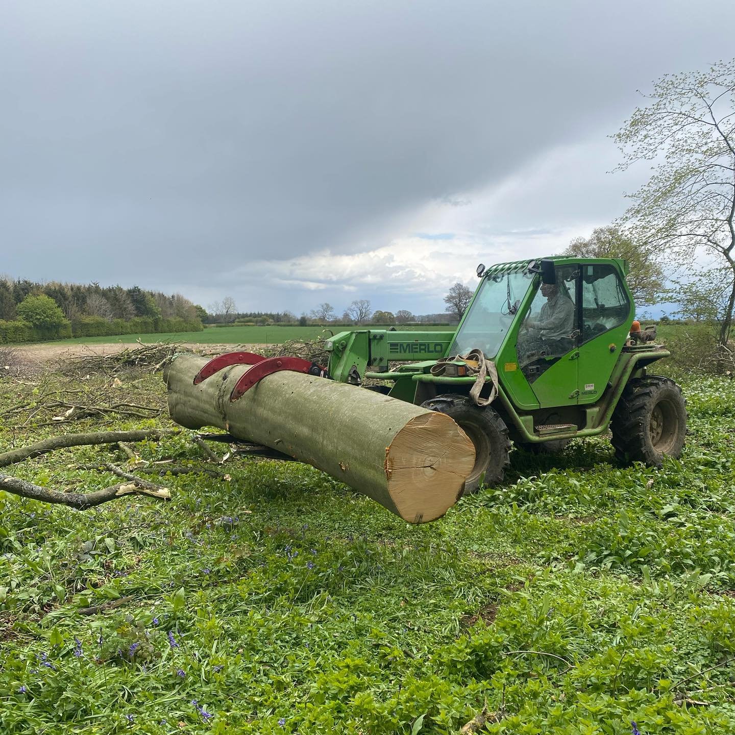 Photo of CM Treecare forestry services