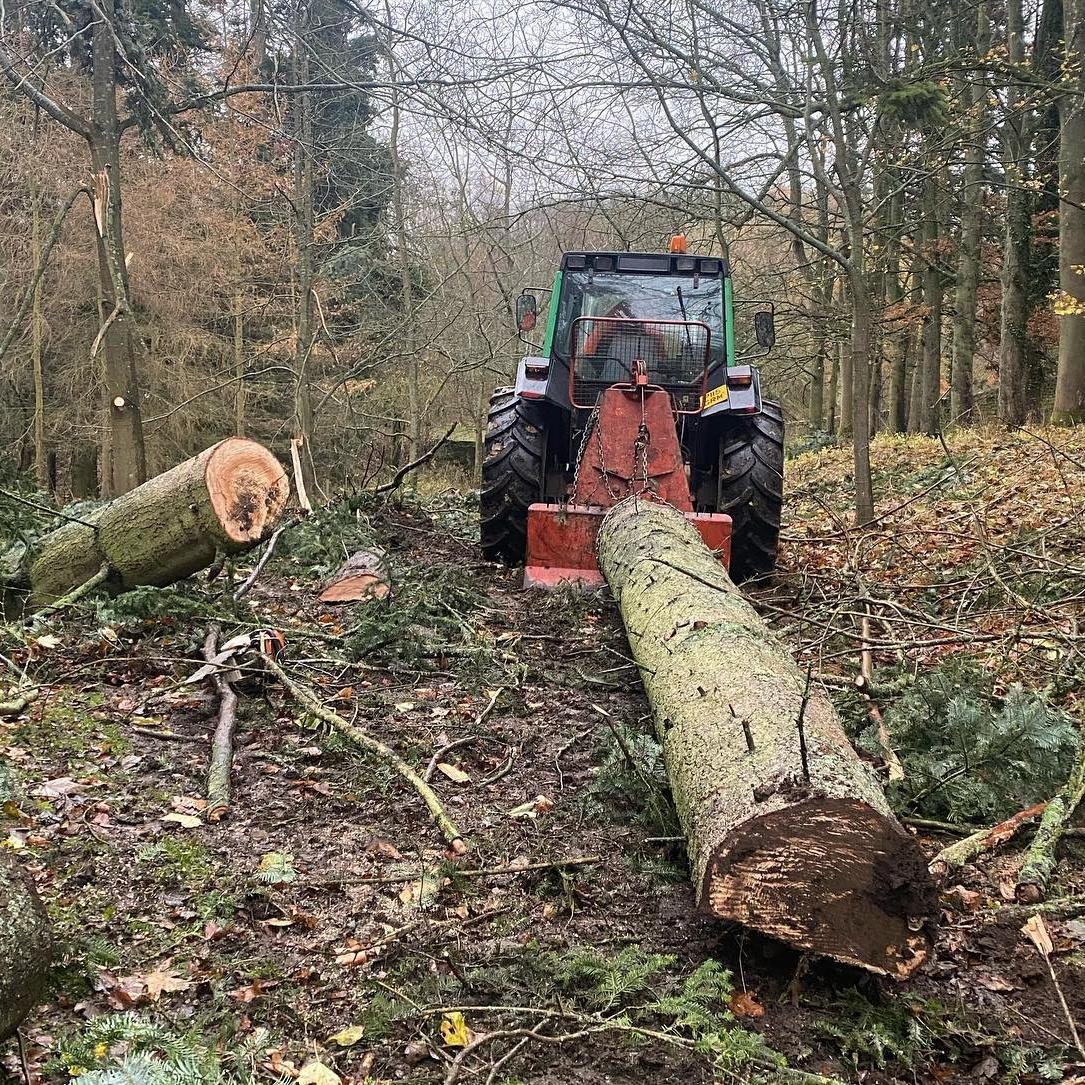 Emergency Tree Removal