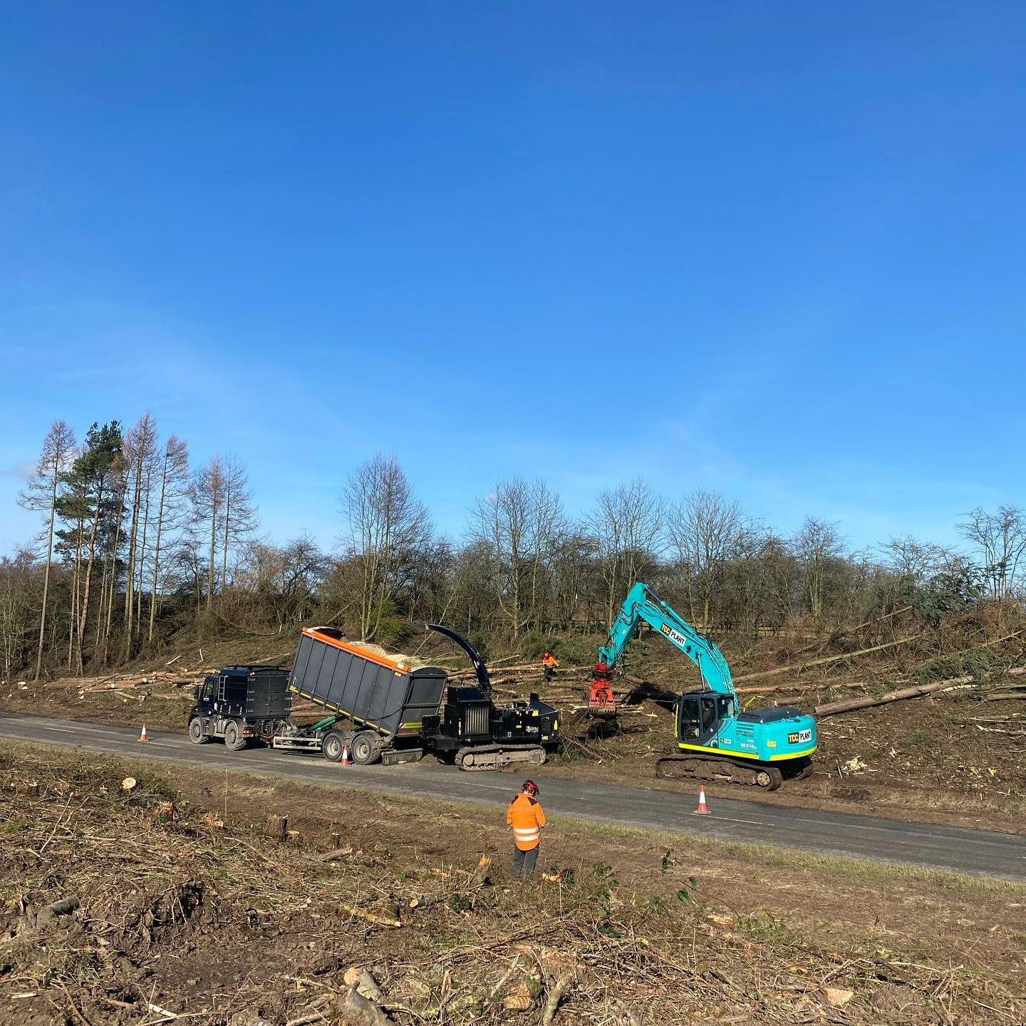 Forestry Services