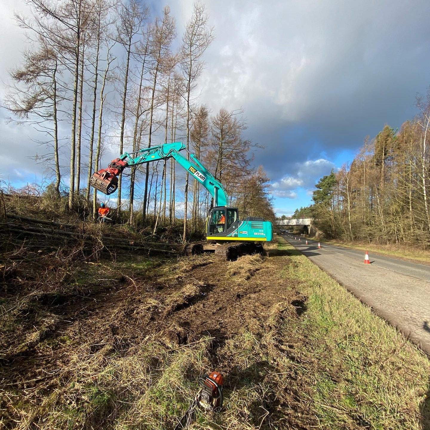Forestry Services