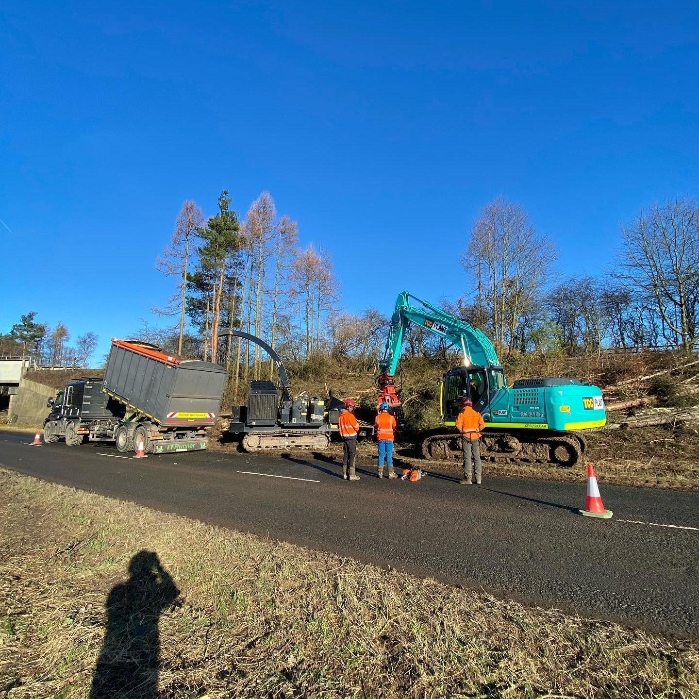 Forestry Services