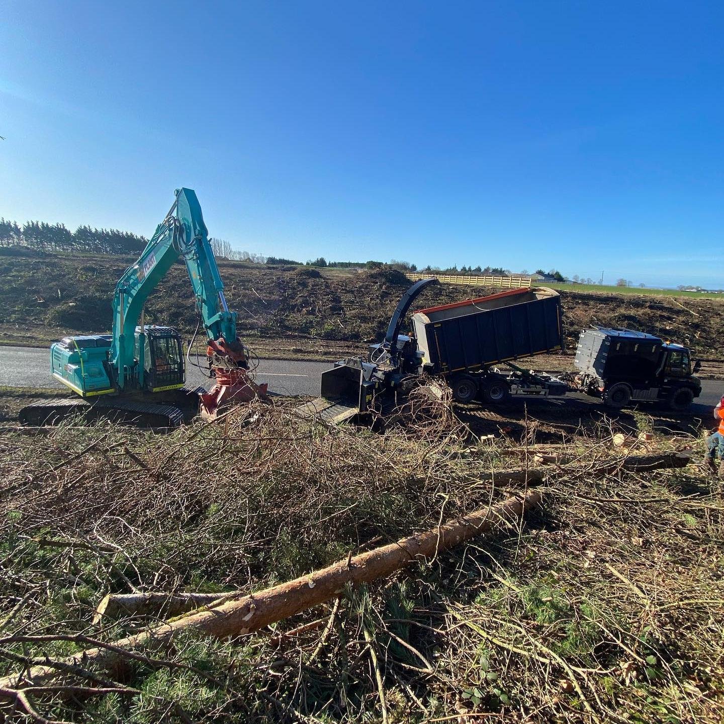 Photo of CM Treecare forestry services