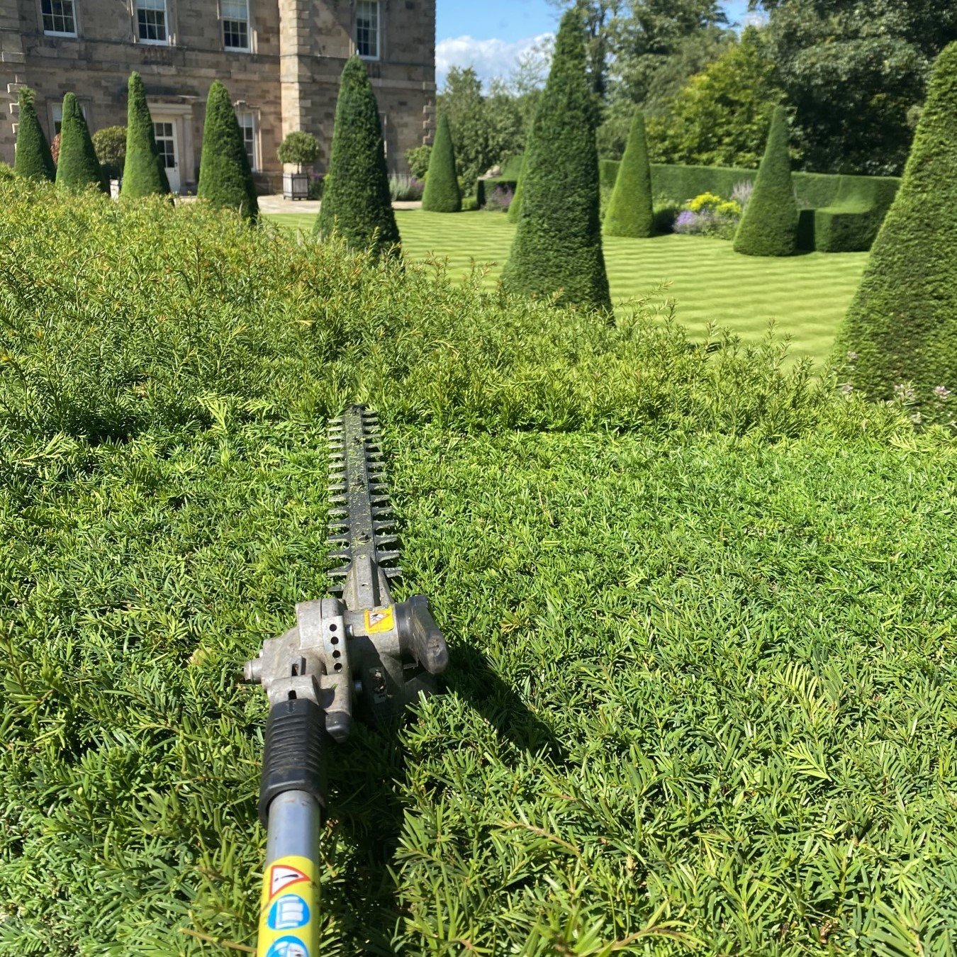 Hedge Cutting