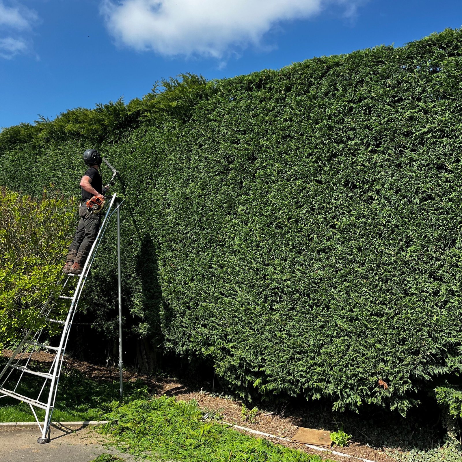 Hedge Cutting for perfect hedges
