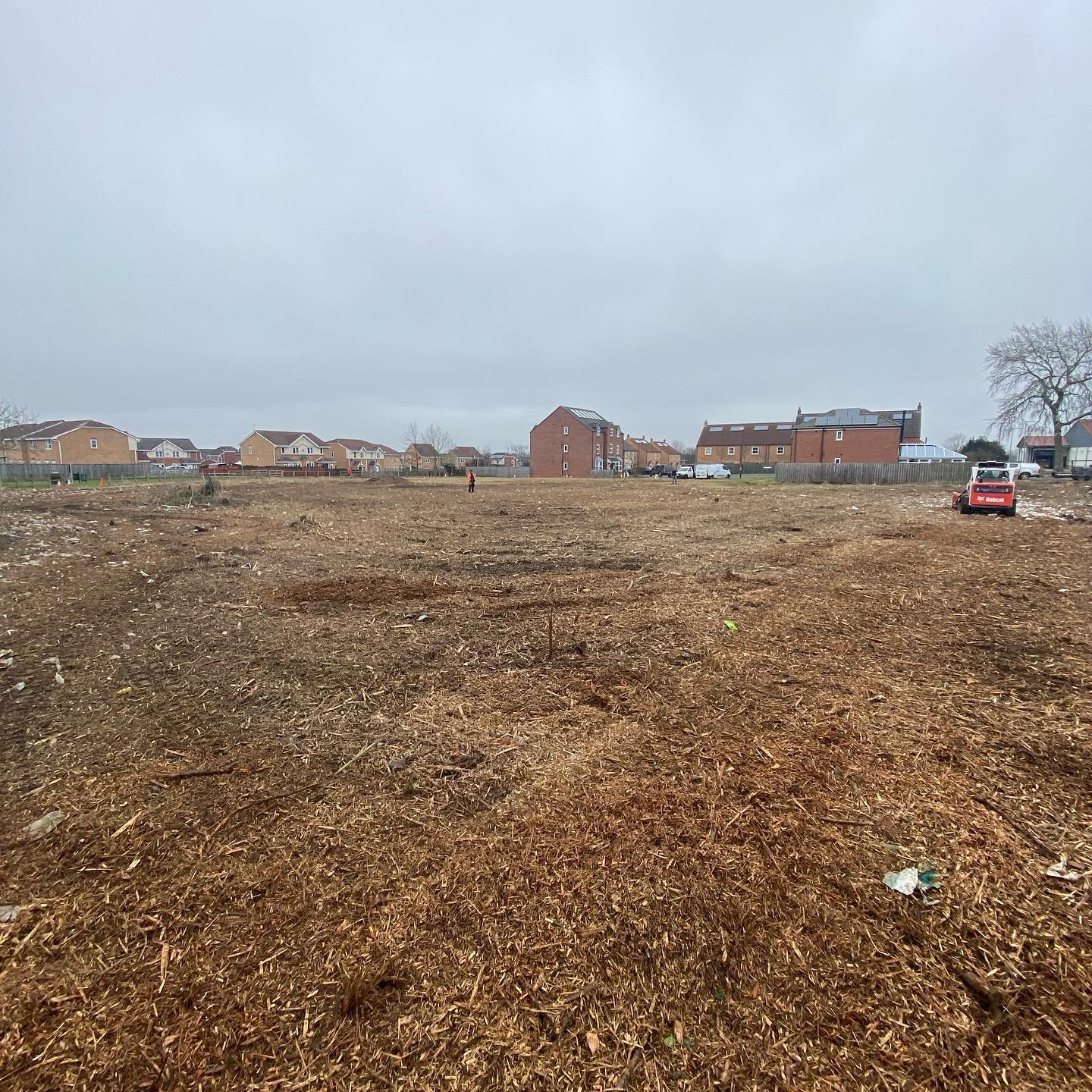 Site clearance by CM Treecare