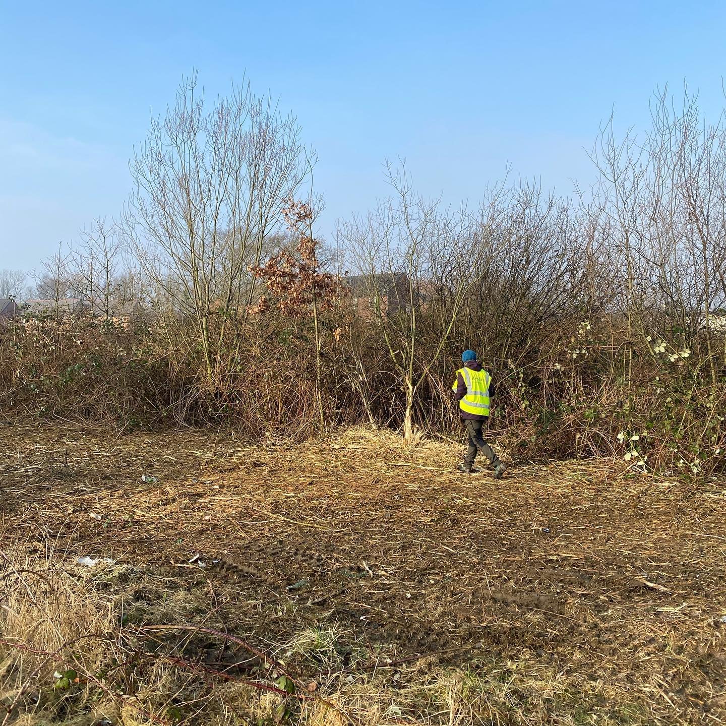 Site clearance by CM Treecare