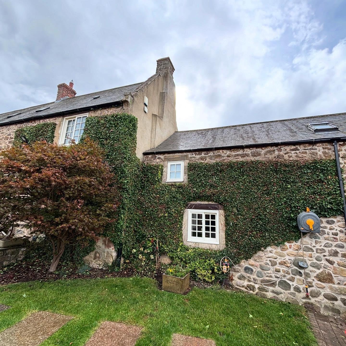 Hedge Trimming Autumn Jobs