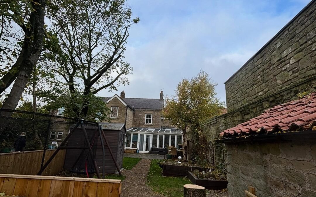 Tree Removal – When it Becomes Essential