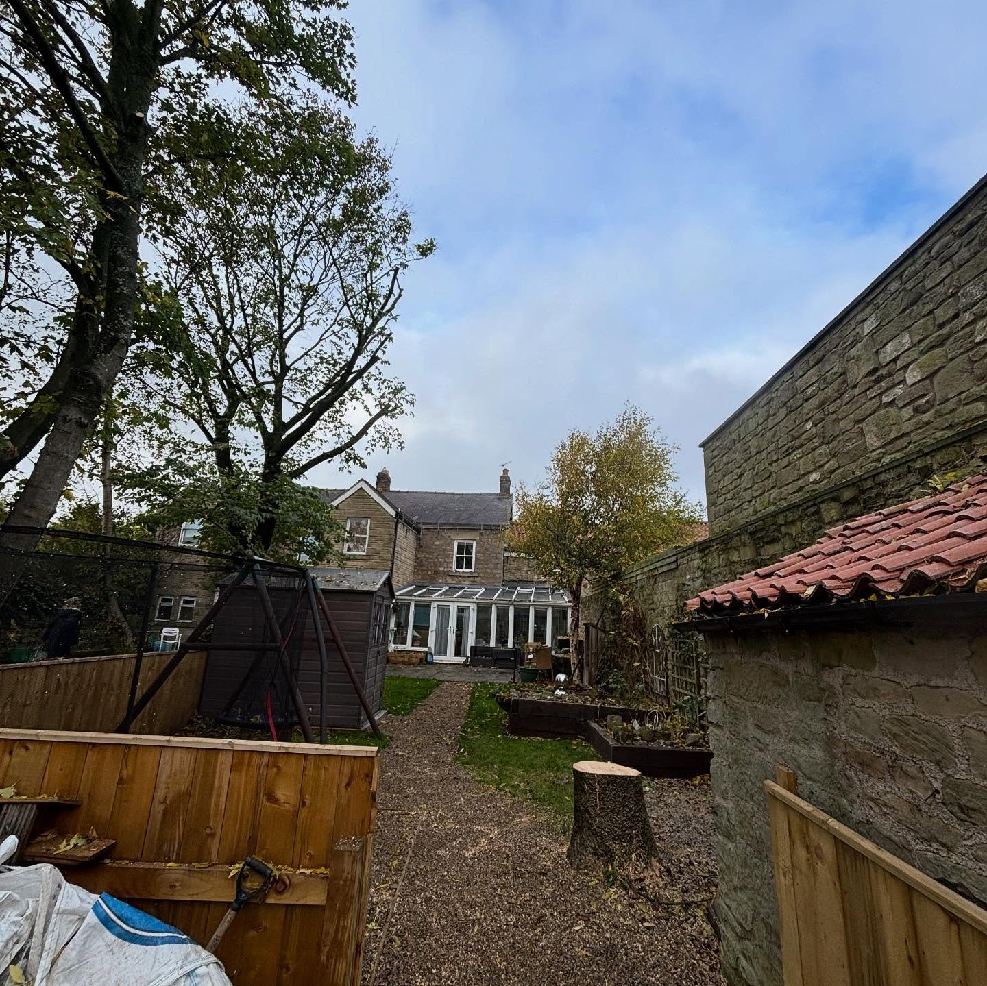 Tree Removal Essential