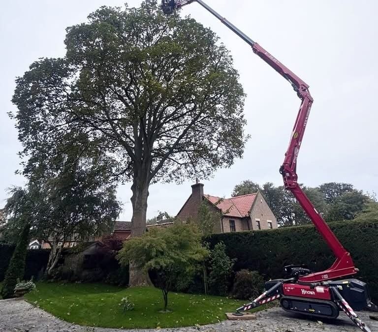 Tree Removal and Site Clearance Darlington and North Yorkshire