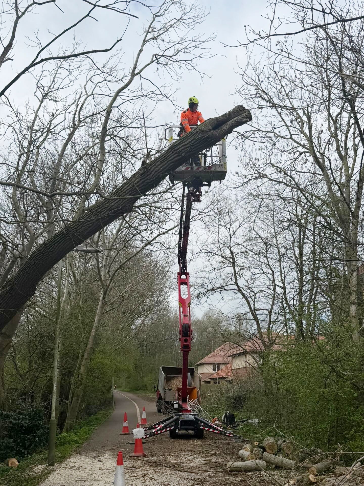 Storm Damage Tree Removal